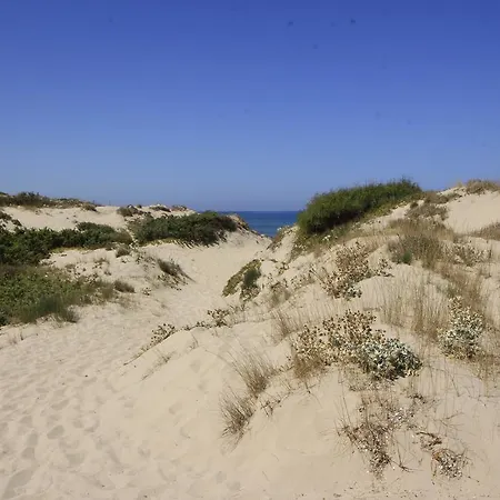 Сasa de vacaciones I Ginepri *